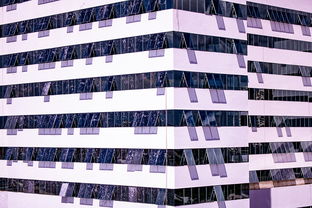 乐鱼体育-体育赛事风险管控体系建设，体育赛事风险防范